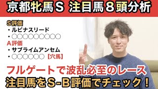 【2023京都牝馬Ｓ】フルゲートで波乱濃厚。Ｓ評価には前走馬券外の馬を抜擢します