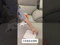 多瓦娜沙發編號 061 台灣製造.提共客製化調整 沙發 家具 furniture 家具 home homedecor sofa interior shortvideo