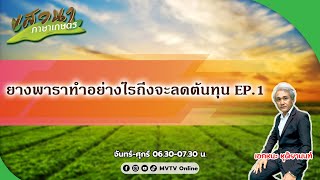 รายการเสวนาภาษาเกษตร | ยางพาราทำอย่างไรถึงจะลดต้นทุน EP.1 | MVTV Thailand