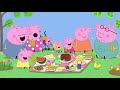 peppa pig official channel the baby piggy