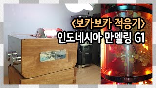 보카보카250 로스팅 : 인도네시아 만델링 G1 / 콩색 변화 보는법 / 로스팅수율 / DTR 공식