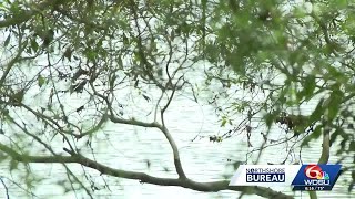 SKELETAL REMAINS FOUND SLIDELL