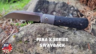 Pena X-Series Swayback