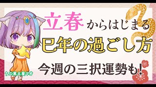 【解説】今日は立春！新しい年のはじまりな話と東洋占いの解説＆三択占い【雑談】【初見さん歓迎】【Vtuber】【占い】【virtualyoutuber】