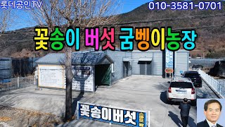 NO.692번. 급매, 절충가능,토지529㎡(160)建156.5㎡(47.34) 기술전수,돈벌기좋은신종사업