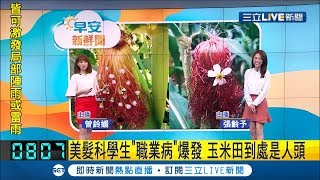 晚上母湯來這片玉米田　美髮科學生職業病發作把玉米鬚變這樣│主播曾鈴媛 張齡予│【早安新鮮聞】20190528│三立新聞台