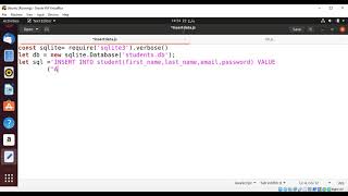 Insert Data into sqlite database with NodeJS app