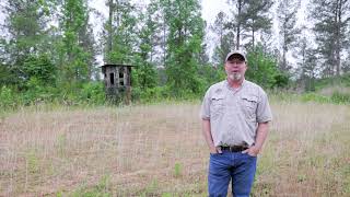 CountryTracts.com | Farmersville | Georgia Land For Sale