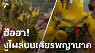 ฮือฮา งูโผล่บนเศียรพญานาค กลางงานกฐิน | 10-11-65 | ข่าวเที่ยงไทยรัฐ