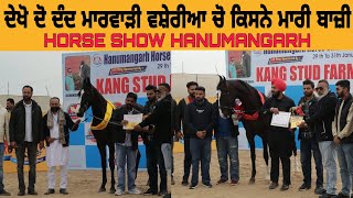 ਦੋ ਦੰਦ ਮਾਰਵਾੜੀ ਵਸ਼ੇਰੀਆਂ ਦਾ ਰਿਜਲਟ HORSE SHOW HANUMANGARH