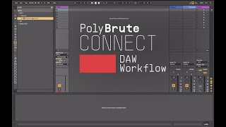 Tutorials | PolyBrute Connect - Episode 2: DAW Workflow