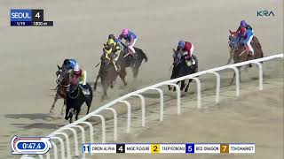 (Seoul) 2025.01.19 R4 Class 5 (1300M) Handicap