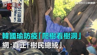 驚！韓國瑜視察登革熱「爬樹看樹洞」！網：真正「樹民總統」｜三立新聞網SETN.com