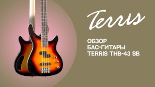 Обзор бас-гитары TERRIS THB 43 SB