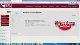 Learning Module Vs Content folder