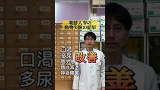 朝鮮人参は糖尿病にも効果的です。（朝鮮人参6）