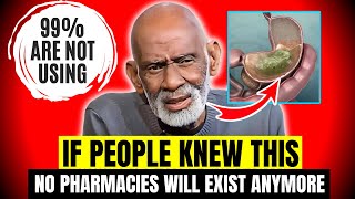 “THIS DIET” Can Make ANY Disease DISAPPEAR FOREVER?! | DR SEBI\