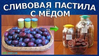 Сливовая пастила с мёдом в сушилке Изидри