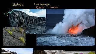 Biologiya 11-Sinf  Biogeotsenozlarning Barqarorligi