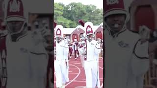 Alabama A\u0026M Marching Maroon \u0026 White 🐶 AAMU Bulldogs