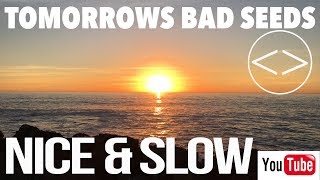 Nice & Slow (Official Music Video) - @TomorrowsBadSeeds