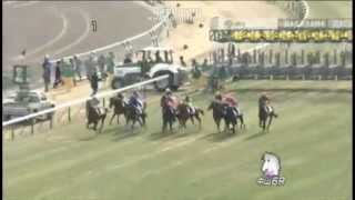 競馬　Horse racing　2013年1月6日（日） 1回中山2日6R メイクデビュー中山