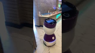 Robot Takes Guests to Table || ViralHog