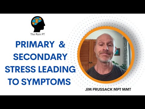 What are primary and secondary stressors?