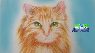 Cómo Dibujar un gato realista | Der Art Draw