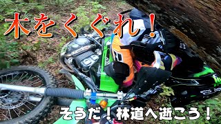 【林道モトブログ】オフ車始めました。　第285話