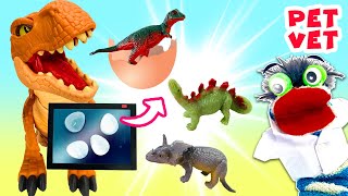 Fizzy the Pet Vet Helps a Mama Dinosaur with Babies in Eggs