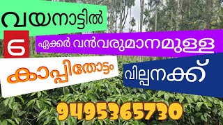 #WAYANAD# DEVARAJ വയനാട്ടിൽ 6 ഏക്കർ വമ്പൻ വരുമാനം ഉള്ള കാപ്പി തോട്ടം വില്പനക്ക് ചെറിയ വില 9495365730