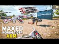 REVIEW MAXED RORING TIGER - AKM