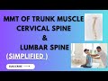 mmt for trunk muscles