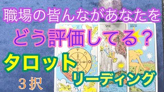 タロット３択⭐️職場の皆んながあなたをどう評価してる？