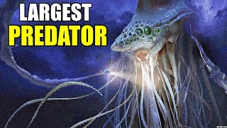 The LARGEST Space Predator In Star Wars Lore| The Monster of the MAW