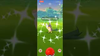 Getting a shiny galar farfetch’d from research breakthrough in Pokémon Go!!! #pokemongo #shorts