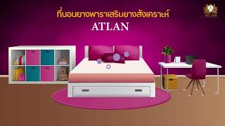 ที่นอนยางพาราเสริมยางสังเคราะห์ รุ่น ATLAN | ATLAN Latex Mattress By Bedisupreme