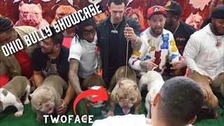 Ohio Bully Showcase In Dayton, OH (Day In The Life Of A Dog Breeder ep. 19) #dog #frkennels #puppy