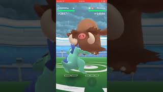 Piloswine Solo Raid