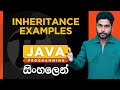 Java Tutorial - 24 | Java Inheritance Examples | Sinhala