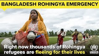 Bangladesh Rohingya Emergency Appeal – Please Give Now