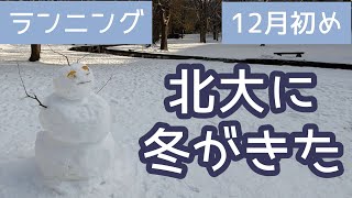 【北大ラン】北大に冬がきた/雪だるま　#26