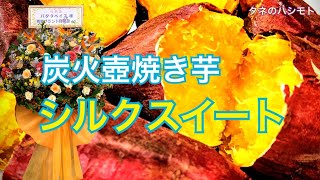 サツマイモの青果物は何処に行くの？　タネのハシモト