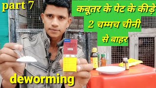 कबूतर के पेट के कीड़े इस तरीके से निकाले 100% सही तरीका (deworming) part 7