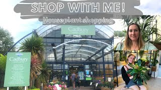 PLANT SHOPPING: Houseplant haul Cadbury garden centre Bristol houseplant shopping