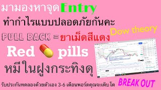 มามองหาจุด Entry ทำกำไรแบบปลอดภัยแบบ Pull back หรือ RED Pills มองหาหมีในฝูงกระทิงดุ แล้วกำไรรายวันคะ