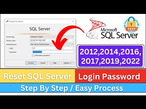 How do I find my SQL Server password?