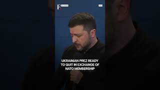 Zelensky Offers To Quit For Ukraine's NATO Membership As War Completes 3 Years | NW18