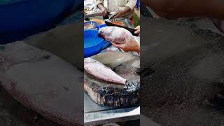 கேரளா கடல் மீன் கடை 🐟 ( fresh fish) - subscribe to our channel for more videos